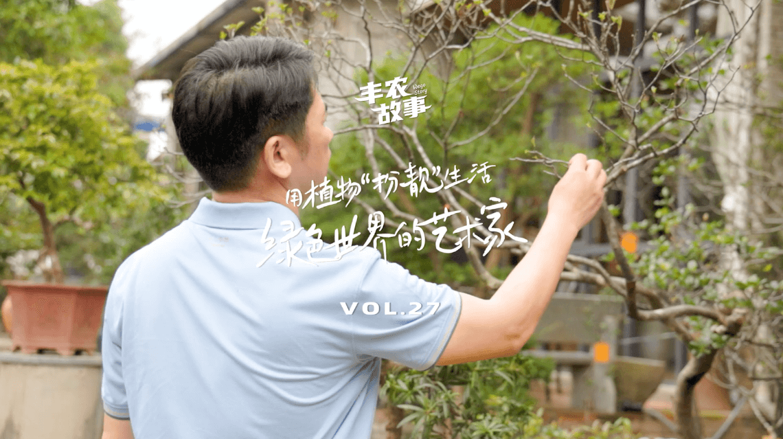 17年，他用一草一木去点亮了一个个家。