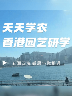 与香港园艺学会联合举办香港园艺研学，专业园境师带队讲解。