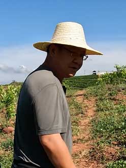 农业人叶涛，50多岁通讯人跨界搞农业，他要用1000万打造一个梦。