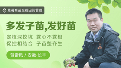 多发子苗，发好苗